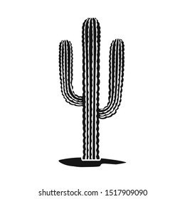 Vector design of cactus and houseplant icon. Web element of cactus and succulent stock vector illustration.