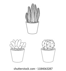 Vector design of cactus and pot icon. Collection of cactus and cacti stock symbol for web.