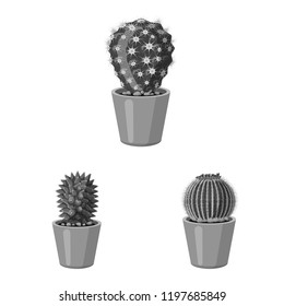 Vector design of cactus and pot icon. Set of cactus and cacti stock symbol for web.
