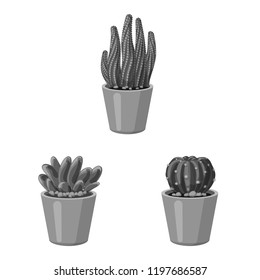 Vector design of cactus and pot icon. Collection of cactus and cacti vector icon for stock.