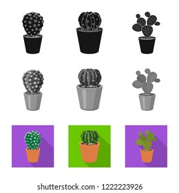 Vector design of cactus and pot icon. Collection of cactus and cacti stock symbol for web.