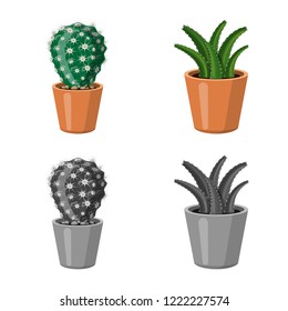 Vector design of cactus and pot icon. Collection of cactus and cacti vector icon for stock.
