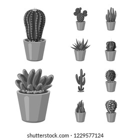 Vector design of cactus and pot icon. Collection of cactus and cacti stock vector illustration.