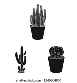 Vector design of cactus and pot icon. Collection of cactus and cacti vector icon for stock.