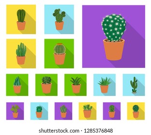 Vector design of cactus and pot icon. Set of cactus and cacti stock symbol for web.