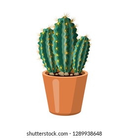 Vector design of cactus and pot icon. Set of cactus and cacti stock vector illustration.