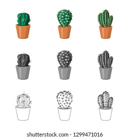 Vector design of cactus and pot icon. Collection of cactus and cacti stock symbol for web.