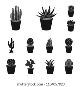 Vector design of cactus and pot logo. Set of cactus and cacti stock vector illustration.