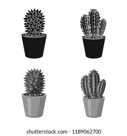 Vector design of cactus and pot logo. Set of cactus and cacti stock vector illustration.