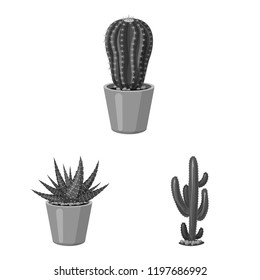 Vector design of cactus and pot logo. Collection of cactus and cacti stock symbol for web.