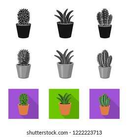 Vector design of cactus and pot logo. Collection of cactus and cacti vector icon for stock.
