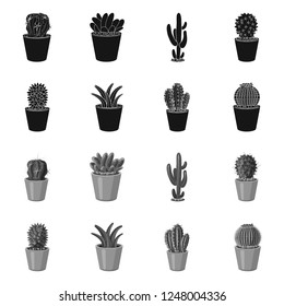 Vector design of cactus and pot logo. Collection of cactus and cacti stock vector illustration.