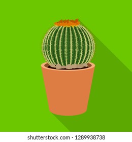 Vector design of cactus and pot logo. Set of cactus and cacti stock symbol for web.