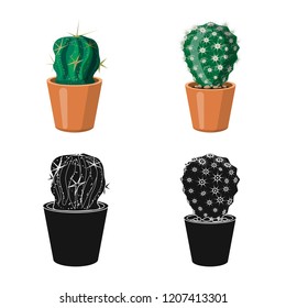 Vector design of cactus and pot sign. Set of cactus and cacti vector icon for stock.