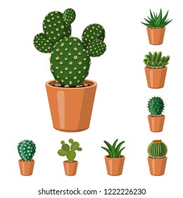 Vector design of cactus and pot sign. Collection of cactus and cacti stock vector illustration.
