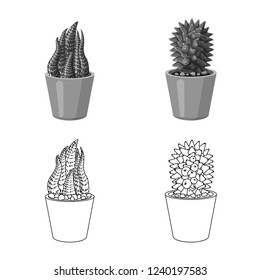 Vector design of cactus and pot sign. Set of cactus and cacti stock symbol for web.