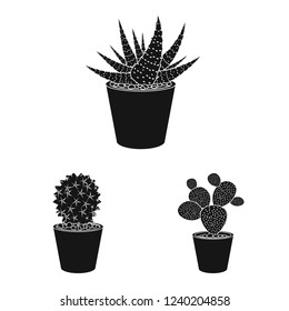 Vector design of cactus and pot sign. Collection of cactus and cacti stock vector illustration.