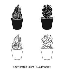 Vector design of cactus and pot sign. Collection of cactus and cacti stock vector illustration.