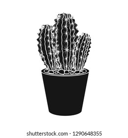 Vector design of cactus and pot sign. Set of cactus and cacti vector icon for stock.