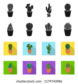 Vector design of cactus and pot symbol. Set of cactus and cacti vector icon for stock.