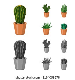 Vector design of cactus and pot symbol. Collection of cactus and cacti vector icon for stock.