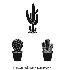 Vector design of cactus and pot symbol. Collection of cactus and cacti vector icon for stock.