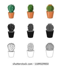 Vector design of cactus and pot symbol. Collection of cactus and cacti stock symbol for web.