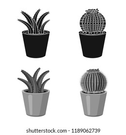 Vector design of cactus and pot symbol. Collection of cactus and cacti stock symbol for web.