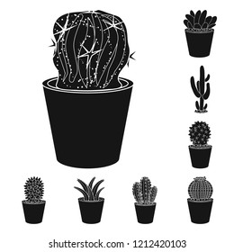 Vector design of cactus and pot symbol. Set of cactus and cacti stock vector illustration.