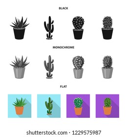 Vector design of cactus and pot symbol. Collection of cactus and cacti stock vector illustration.