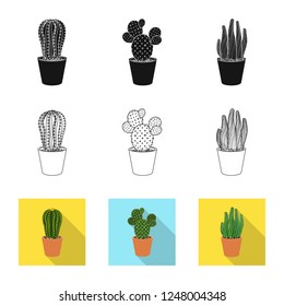 Vector design of cactus and pot symbol. Collection of cactus and cacti stock symbol for web.