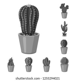 Vector design of cactus and pot symbol. Collection of cactus and cacti vector icon for stock.