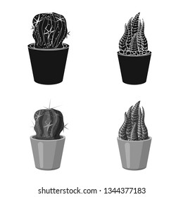 Vector design of cactus and pot symbol. Set of cactus and cacti vector icon for stock.