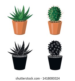 Vector design of cactus and pot symbol. Collection of cactus and cacti vector icon for stock.