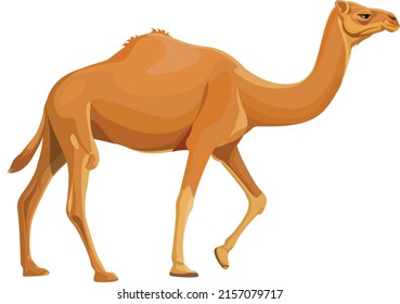 A vector design of a camel on a white background
