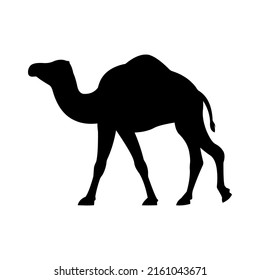 vector design
 camel silhouette. suitable for the design of Hajj, Eid al-Adha, Eid al-Fitr, Ramadan, and Islamic day celebrations. eid al adha design