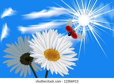 Vector design. Camomile. Sky blue with Ladybird. VECTOR (See Jpeg Also In My Portfolio)