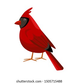 Vector design of cardinal and red sign. Web element of cardinal and bird stock symbol for web.