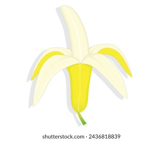 vector design cartoon illustration of a yellow banana whose skin has been half opened so that the contents of the fruit are visible