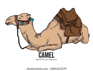 Vector design of a cartoon image of a camel sitting relaxed on a white background