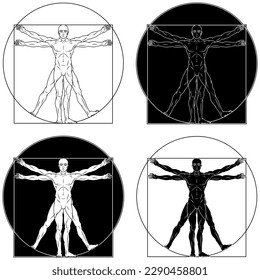 Diseño vectorial del hombre vitruviano al estilo de las caricaturas, estudio de las proporciones ideales del cuerpo humano, Canon de las proporciones humanas