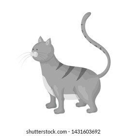 Vector design of cat and kitten symbol. Collection of cat and animal stock symbol for web.