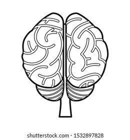 Vector design of cerebrum and hemisphere symbol. Web element of cerebrum and gyri vector icon for stock.