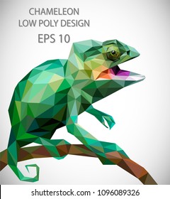 Vector design of chameleon in low poly style.