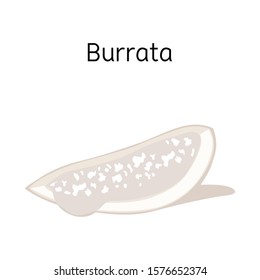 Vector design of cheese and burrata sign. Web element of cheese and piece stock symbol for web.