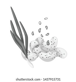 Vector design of chips and snack icon. Set of chips and onion stock symbol for web.