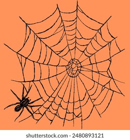 Vector design with cobweb and spider hiding underneath