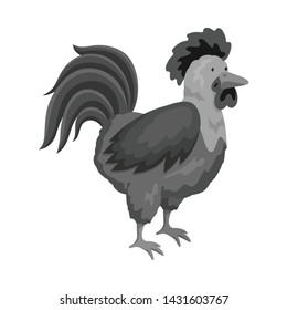 Vector design of cock and bird symbol. Set of cock and husbandry stock symbol for web.