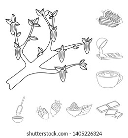 Vector design of cocoa and beans icon. Collection of cocoa and sweetness stock vector illustration.