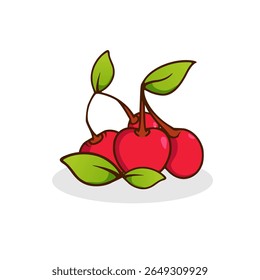 vector design of a collection of cherries and leaves on a white background